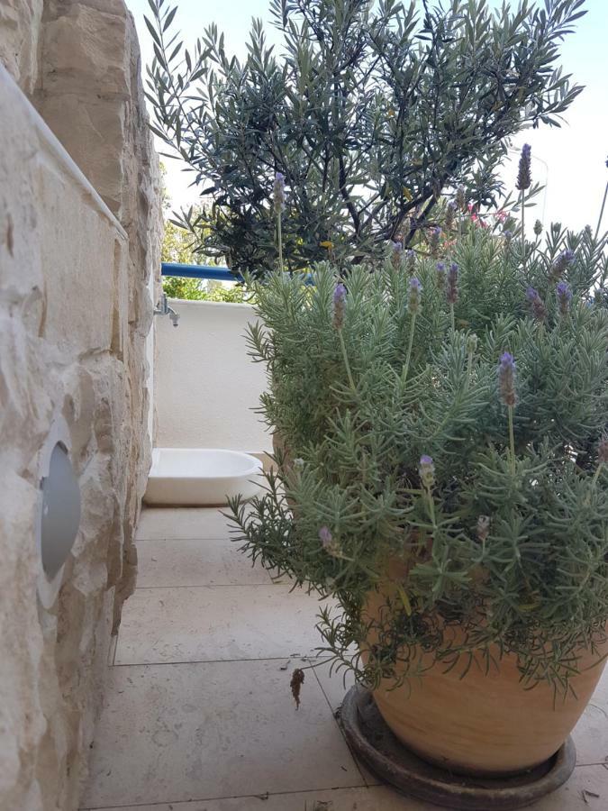 Coquille Daire Kavala Dış mekan fotoğraf